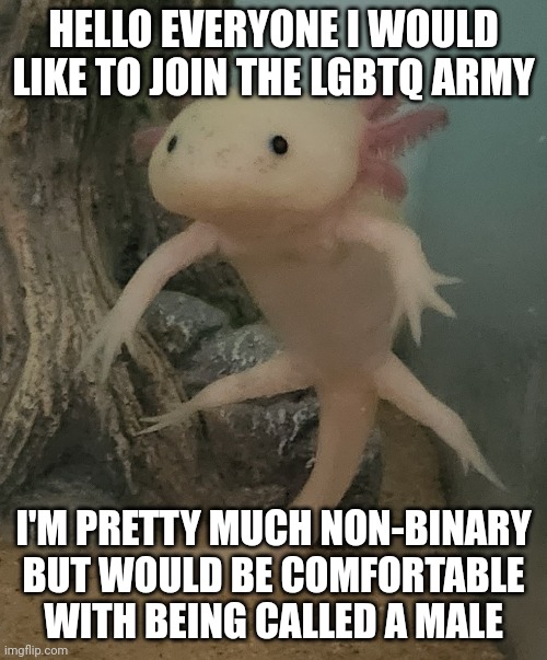 I'm relatively new here | HELLO EVERYONE I WOULD LIKE TO JOIN THE LGBTQ ARMY; I'M PRETTY MUCH NON-BINARY BUT WOULD BE COMFORTABLE WITH BEING CALLED A MALE | image tagged in lgbtq | made w/ Imgflip meme maker