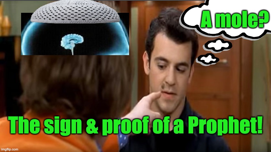 Holy Prophet Moly | A mole? The sign & proof of a Prophet! | image tagged in prophet,islam,muhammad,mole,austin powers,muslims | made w/ Imgflip meme maker
