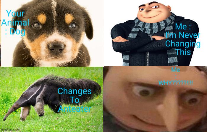 Your Animal | Your Animal : Dog; Me : I'm Never Changing This; Me : WHY?????!!!! Changes To Anteater | image tagged in gru meme,animals,dog | made w/ Imgflip meme maker