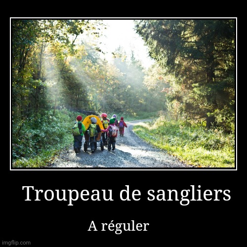 Troupeau de sangliers | A réguler | image tagged in funny,demotivationals | made w/ Imgflip demotivational maker