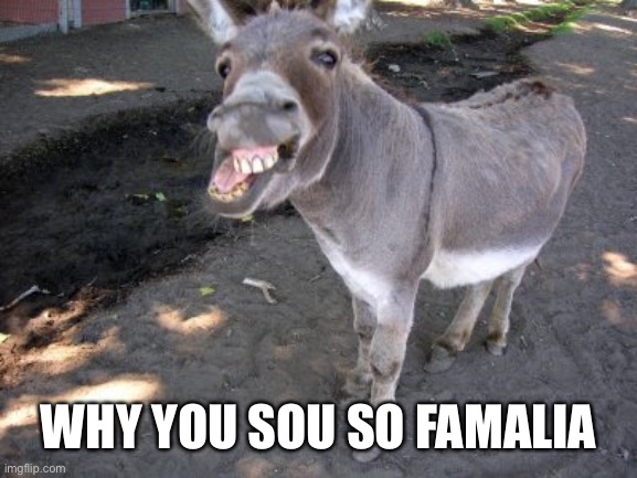 Ugly Donkey | WHY YOU SOU SO FAMALIA | image tagged in ugly donkey | made w/ Imgflip meme maker