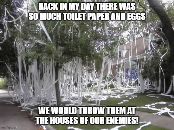 TP & Eggs | BACK IN MY DAY THERE WAS SO MUCH TOILET PAPER AND EGGS; WE WOULD THROW THEM AT THE HOUSES OF OUR ENEMIES! | image tagged in toilet papered house,eggs,tp,toilet paper | made w/ Imgflip meme maker