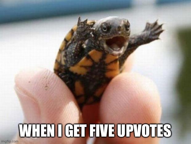 happy baby turtle | WHEN I GET FIVE UPVOTES | image tagged in happy baby turtle,upvotes | made w/ Imgflip meme maker