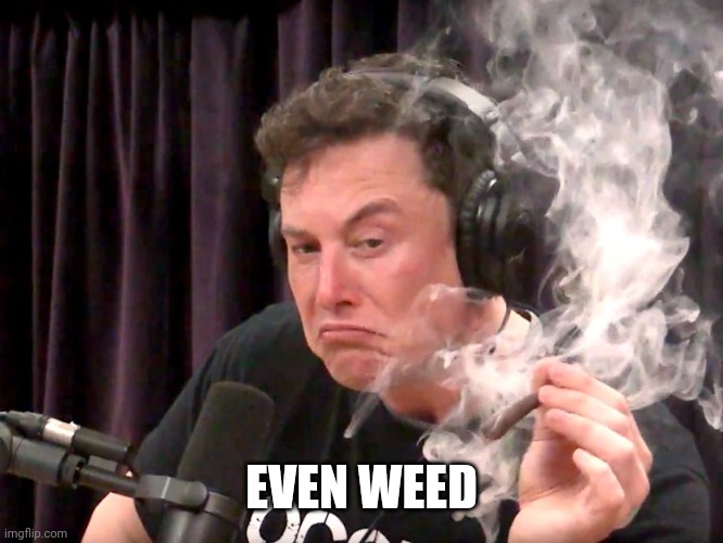 Elon Musk Weed | EVEN WEED | image tagged in elon musk weed | made w/ Imgflip meme maker