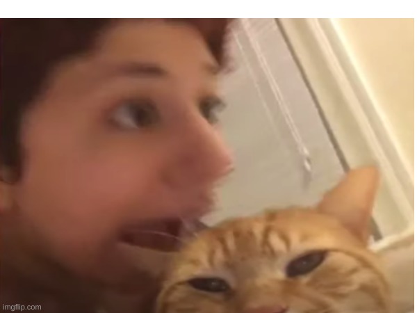 y | made w/ Imgflip meme maker