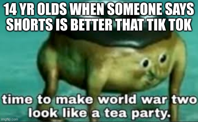time to make world war 2 look like a tea party | 14 YR OLDS WHEN SOMEONE SAYS SHORTS IS BETTER THAT TIK TOK | image tagged in time to make world war 2 look like a tea party | made w/ Imgflip meme maker