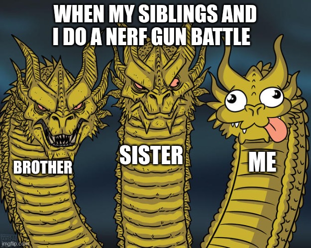 Three-headed Dragon | WHEN MY SIBLINGS AND I DO A NERF GUN BATTLE; SISTER; ME; BROTHER | image tagged in three-headed dragon | made w/ Imgflip meme maker