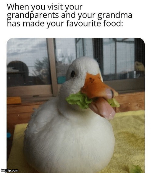 image tagged in repost,memes,funny,ducks,grandparents,food | made w/ Imgflip meme maker