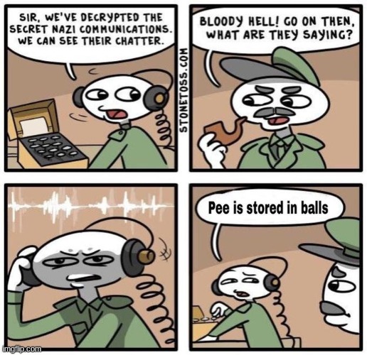 comment ban site wide lmao | image tagged in stonetoss,balls | made w/ Imgflip meme maker