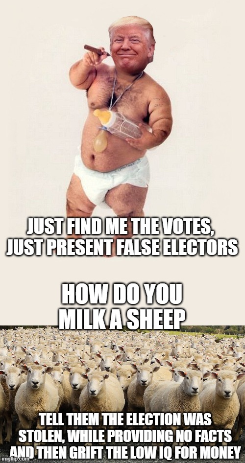 JUST FIND ME THE VOTES,  JUST PRESENT FALSE ELECTORS HOW DO YOU MILK A SHEEP TELL THEM THE ELECTION WAS STOLEN, WHILE PROVIDING NO FACTS AND | image tagged in diaper donny,trump sheep | made w/ Imgflip meme maker
