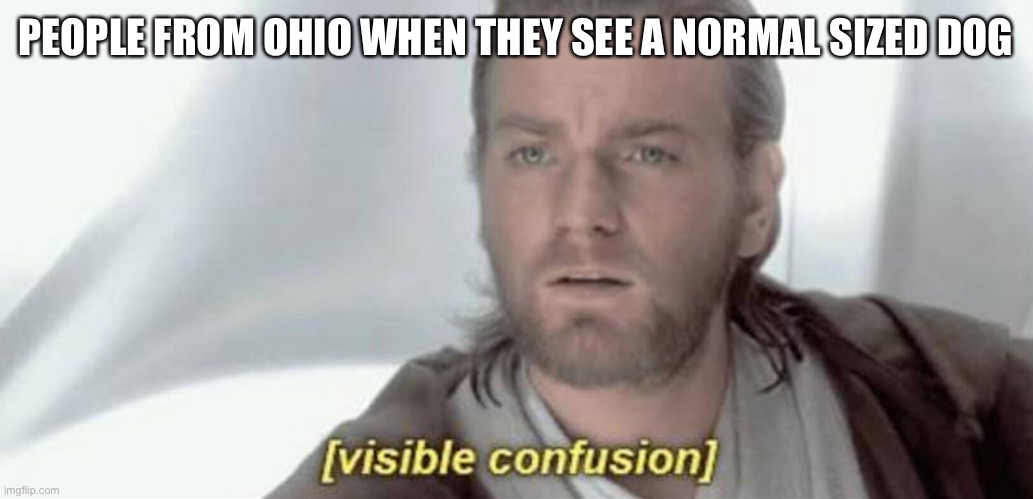 Visible Confusion | PEOPLE FROM OHIO WHEN THEY SEE A NORMAL SIZED DOG | image tagged in visible confusion | made w/ Imgflip meme maker