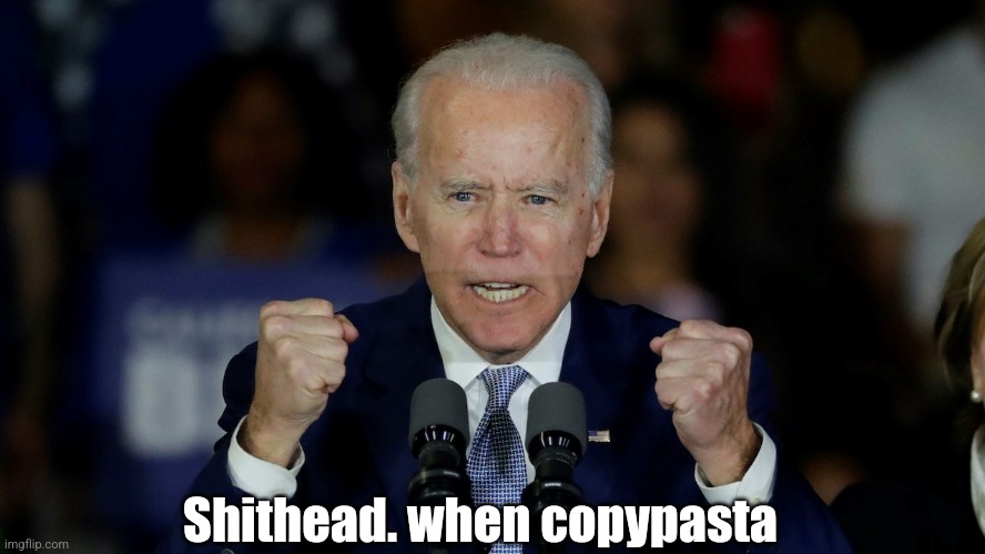 He literally k wodr'd at me cuz I posted a copypasta | Shithead. when copypasta | image tagged in angry joe biden | made w/ Imgflip meme maker