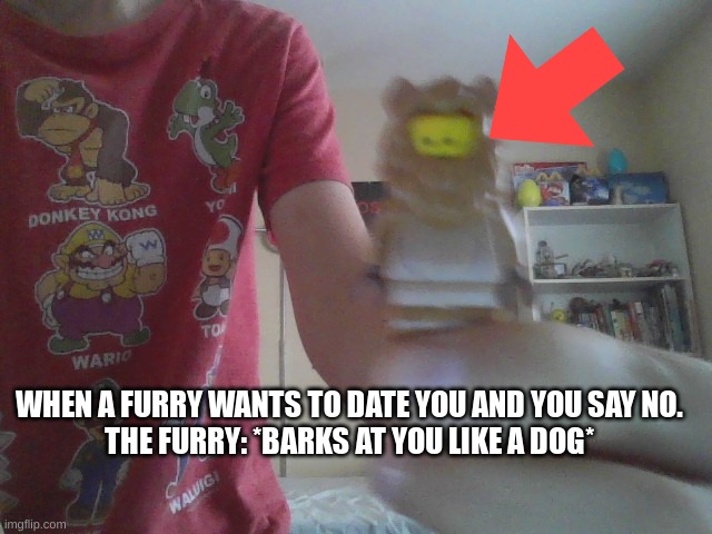 There's a girl at my school who says she isn't a furry but I've seen her sketch book and it just has furries and anime girls in  | WHEN A FURRY WANTS TO DATE YOU AND YOU SAY NO.
THE FURRY: *BARKS AT YOU LIKE A DOG* | image tagged in lego furry | made w/ Imgflip meme maker