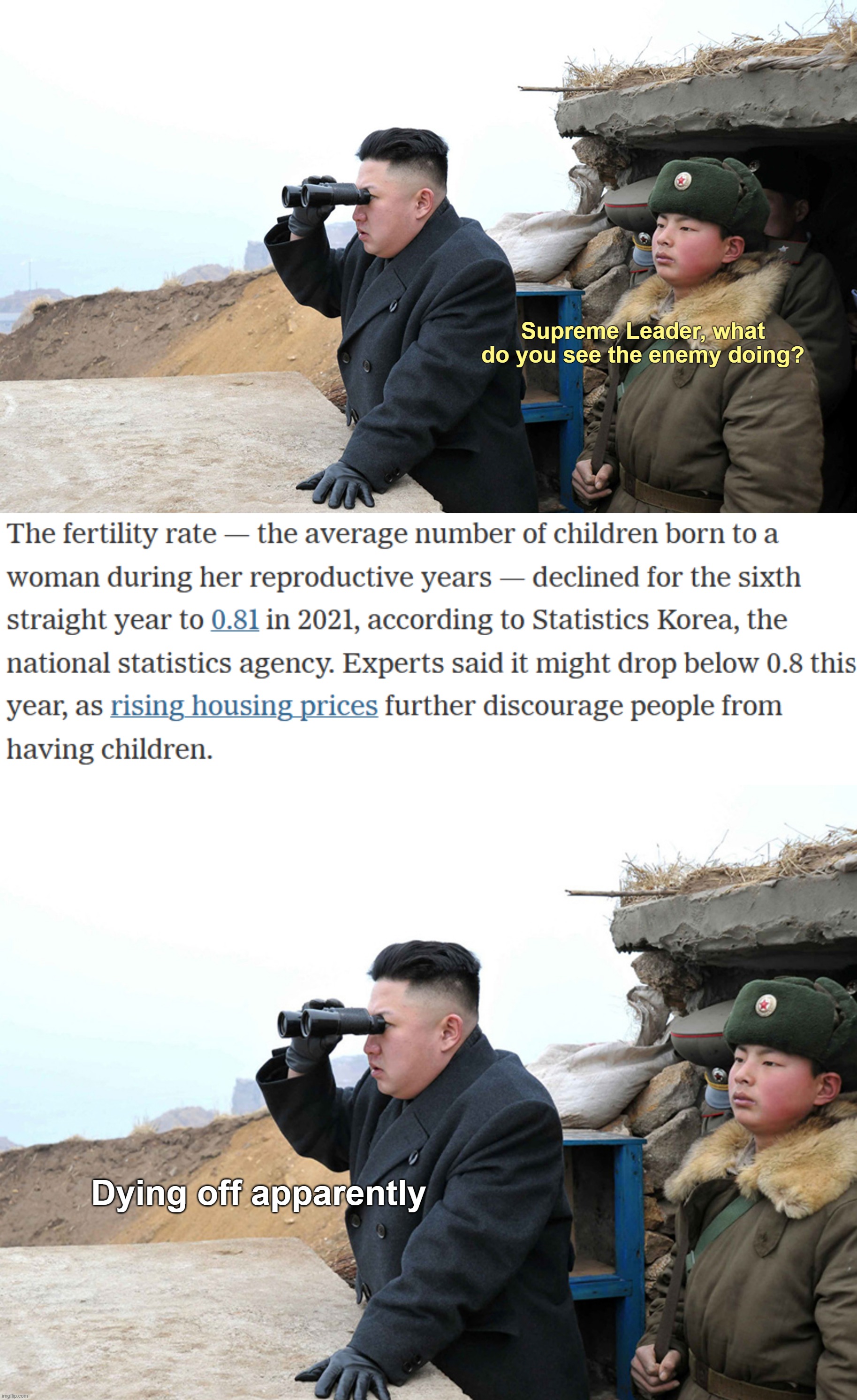 North Korea meme contest | Supreme Leader, what do you see the enemy doing? Dying off apparently | image tagged in rmk,north korea,birth rates,south korea | made w/ Imgflip meme maker