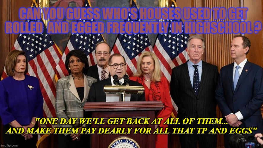 House Democrats | CAN YOU GUESS WHO'S HOUSES USED TO GET ROLLED  AND EGGED FREQUENTLY IN HIGHSCHOOL ? "ONE DAY WE'LL GET BACK AT ALL OF THEM... AND MAKE THEM PAY DEARLY FOR ALL THAT TP AND EGGS" | image tagged in house democrats | made w/ Imgflip meme maker