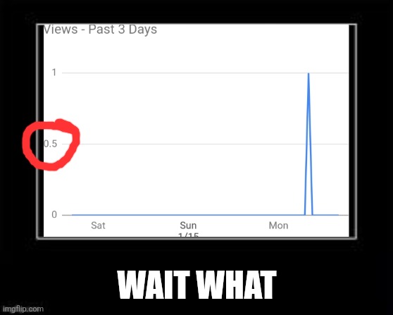 0.5 views | WAIT WHAT | image tagged in wait what | made w/ Imgflip meme maker