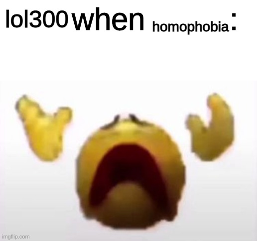 User When Offended: | homophobia; lol300 | image tagged in user when offended | made w/ Imgflip meme maker