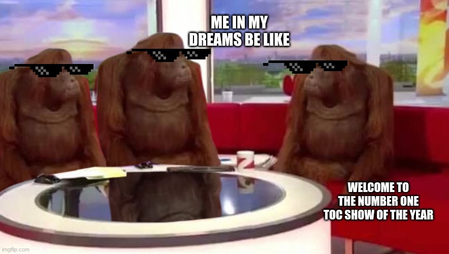 where monkey | ME IN MY DREAMS BE LIKE; WELCOME TO THE NUMBER ONE TOC SHOW OF THE YEAR | image tagged in where monkey | made w/ Imgflip meme maker