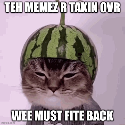 teh lolcats strike back!! | TEH MEMEZ R TAKIN OVR; WEE MUST FITE BACK | image tagged in i can has cheezburger cat | made w/ Imgflip meme maker