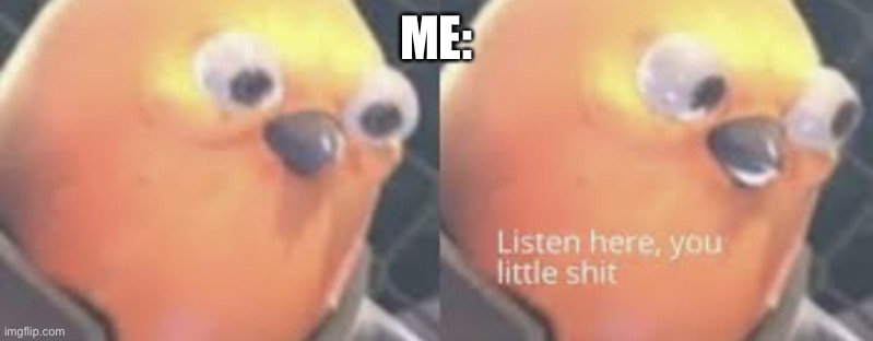 Listen here you little shit bird | ME: | image tagged in listen here you little shit bird | made w/ Imgflip meme maker