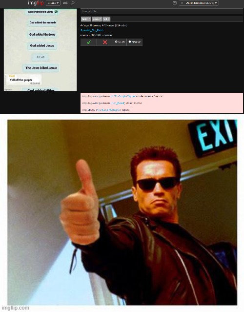 *disapproves it for y'all* | image tagged in terminator thumbs up | made w/ Imgflip meme maker
