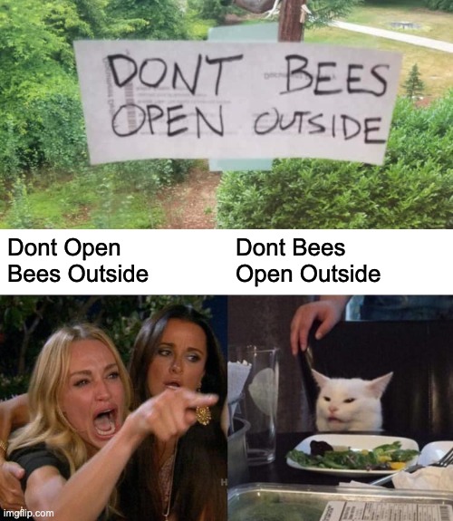 Dont Open
Bees Outside; Dont Bees
Open Outside | image tagged in memes,woman yelling at cat,design fails,you had one job,signs,failure | made w/ Imgflip meme maker