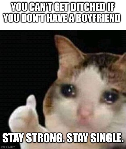 can't get dumped by your boyfriend if you don't have one! |  YOU CAN'T GET DITCHED IF YOU DON'T HAVE A BOYFRIEND; STAY STRONG. STAY SINGLE. | image tagged in sad thumbs up cat | made w/ Imgflip meme maker