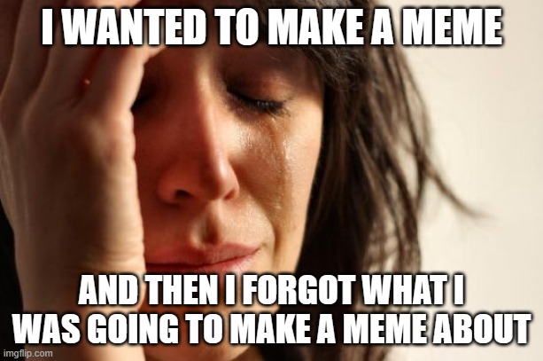 wait what? | I WANTED TO MAKE A MEME; AND THEN I FORGOT WHAT I WAS GOING TO MAKE A MEME ABOUT | image tagged in memes,first world problems | made w/ Imgflip meme maker