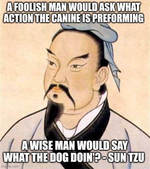 Truly inspirational quote | A FOOLISH MAN WOULD ASK WHAT ACTION THE CANINE IS PREFORMING; A WISE MAN WOULD SAY WHAT THE DOG DOIN'? - SUN TZU | image tagged in sun tzu | made w/ Imgflip meme maker