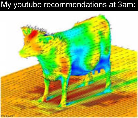 Why just why? | My youtube recommendations at 3am: | image tagged in aerodynamics of a cow | made w/ Imgflip meme maker