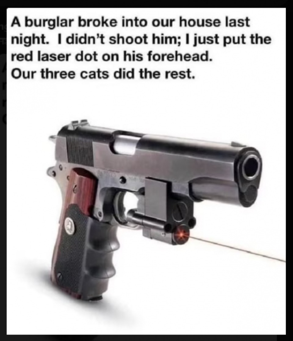 A burglar broke into our house last night. | image tagged in warrior cats,funny cat memes,burglars,persian cat room guardian,full auto attack cat,assault cats | made w/ Imgflip meme maker