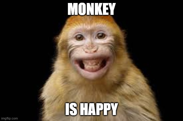 mnky go smile | MONKEY; IS HAPPY | image tagged in mnkey smile | made w/ Imgflip meme maker