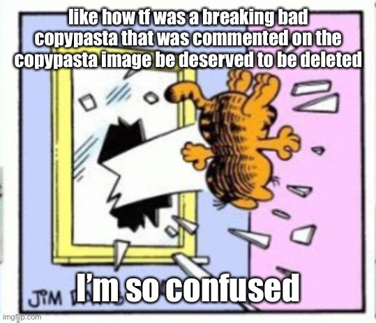 Garfield gets thrown out of a window | like how tf was a breaking bad copypasta that was commented on the copypasta image be deserved to be deleted; I’m so confused | image tagged in garfield gets thrown out of a window | made w/ Imgflip meme maker