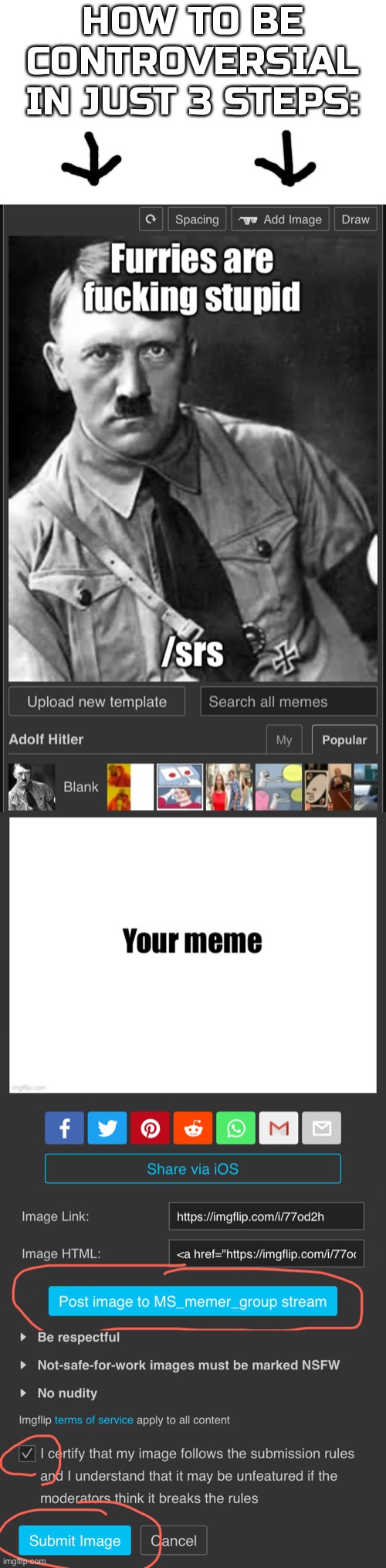 This is a joke btw | HOW TO BE CONTROVERSIAL IN JUST 3 STEPS: | image tagged in balls,anti furry | made w/ Imgflip meme maker