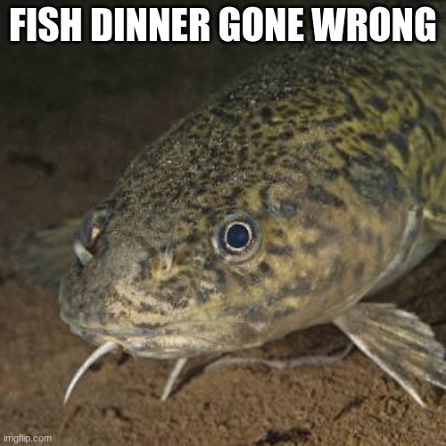 fish | FISH DINNER GONE WRONG | image tagged in what if i told you | made w/ Imgflip meme maker