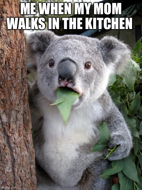 Surprised Koala Meme | ME WHEN MY MOM WALKS IN THE KITCHEN | image tagged in memes,surprised koala | made w/ Imgflip meme maker