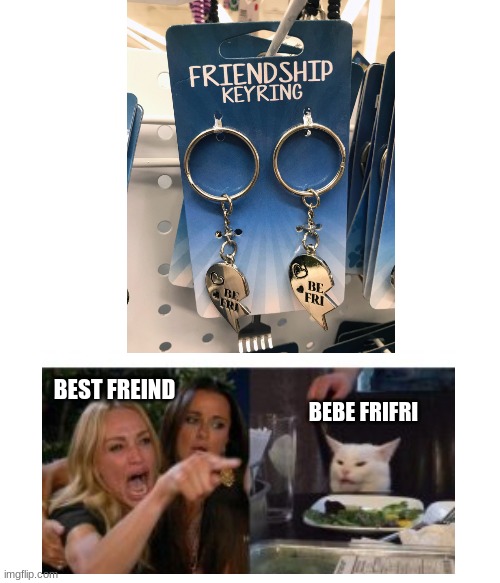 BEST FREIND; BEBE FRIFRI | image tagged in lady yelling at cat,you had one job,cat,why are you reading the tags | made w/ Imgflip meme maker