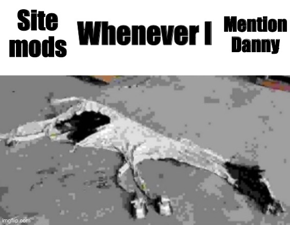 Site mods; Mention Danny | image tagged in whenever i | made w/ Imgflip meme maker