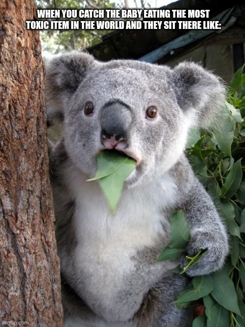Surprised Koala Meme | WHEN YOU CATCH THE BABY EATING THE MOST TOXIC ITEM IN THE WORLD AND THEY SIT THERE LIKE: | image tagged in memes,surprised koala | made w/ Imgflip meme maker