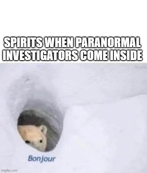 paranormal meme | SPIRITS WHEN PARANORMAL INVESTIGATORS COME INSIDE | image tagged in bonjour | made w/ Imgflip meme maker