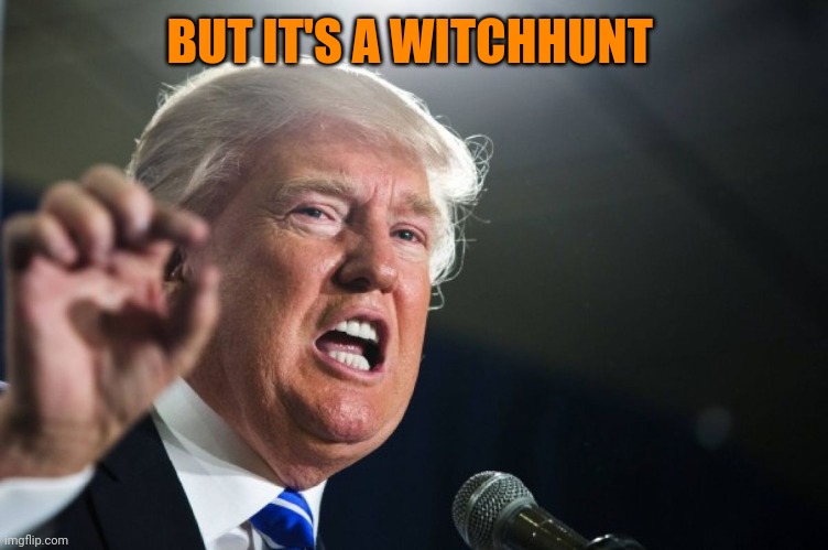 donald trump | BUT IT'S A WITCHHUNT | image tagged in donald trump | made w/ Imgflip meme maker