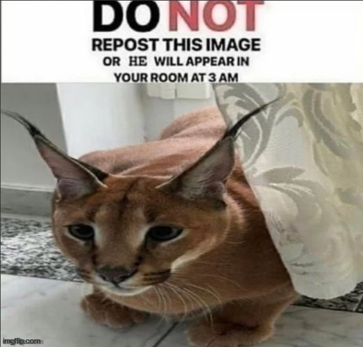 GIB ME DA FLOPPA | made w/ Imgflip meme maker