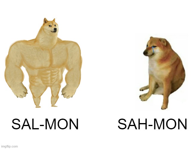 IT IS SALMON | SAL-MON; SAH-MON | image tagged in memes,buff doge vs cheems,salmon | made w/ Imgflip meme maker