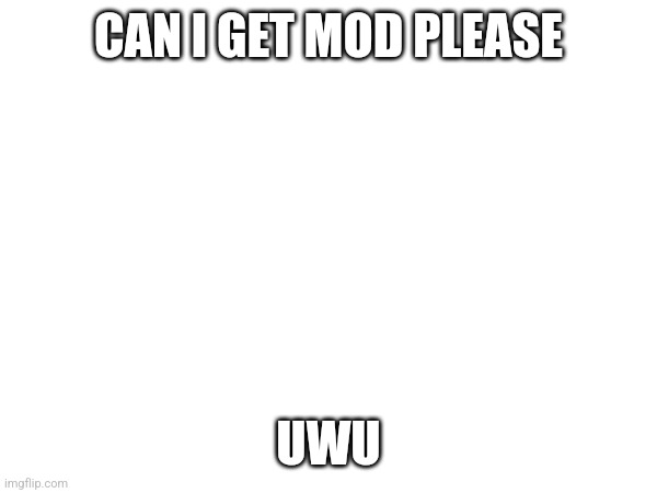 CAN I GET MOD PLEASE; UWU | made w/ Imgflip meme maker