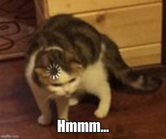 Loading cat | Hmmm... | image tagged in loading cat | made w/ Imgflip meme maker