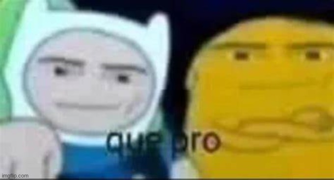 que pro | image tagged in que pro | made w/ Imgflip meme maker