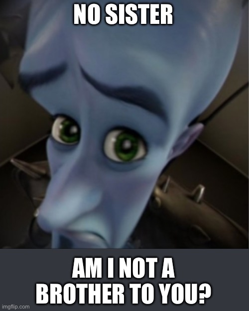 Oh sister | NO SISTER; AM I NOT A BROTHER TO YOU? | image tagged in megamind peeking,sister,brother | made w/ Imgflip meme maker