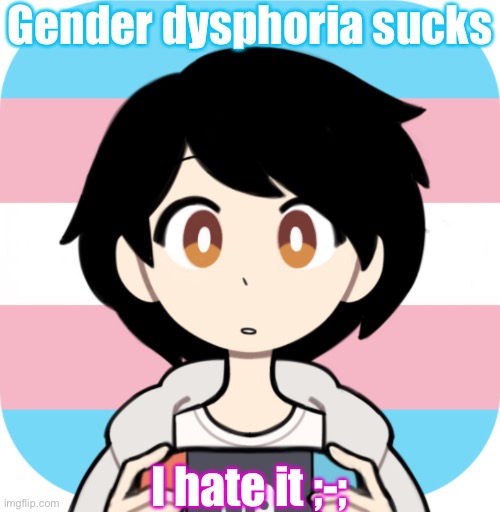 Anyone want to talk? | Gender dysphoria sucks; I hate it ;-; | image tagged in echo_yt template | made w/ Imgflip meme maker