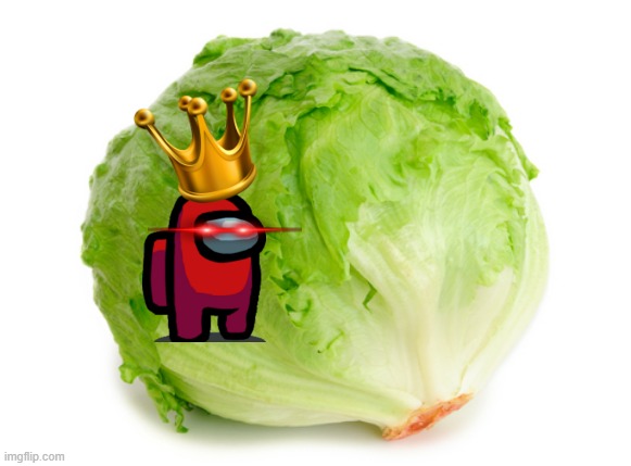 Lettuce  | image tagged in lettuce | made w/ Imgflip meme maker