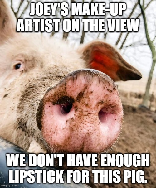 My Girl Joey | JOEY'S MAKE-UP ARTIST ON THE VIEW; WE DON'T HAVE ENOUGH LIPSTICK FOR THIS PIG. | image tagged in my girl joey | made w/ Imgflip meme maker